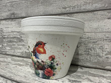 Load image into Gallery viewer, Robin plant pot