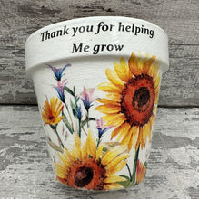 Load image into Gallery viewer, Teacher gift flowers plant pot