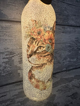 Load image into Gallery viewer, Cat light up bottle
