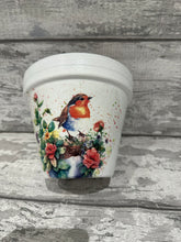 Load image into Gallery viewer, Robin plant pot