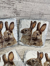 Load image into Gallery viewer, Hare slate coasters