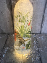 Load image into Gallery viewer, Robin light up bottle
