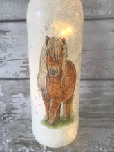 Load image into Gallery viewer, Pony light up bottle