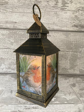 Load image into Gallery viewer, Robin lantern