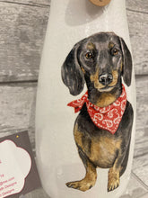 Load image into Gallery viewer, Black Dachshund red bandana vase & light up bottle