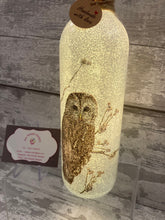 Load image into Gallery viewer, Owl light up bottle and matching vase