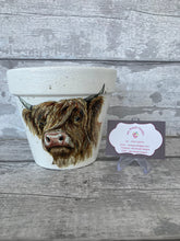 Load image into Gallery viewer, Highland Cow Indoor/Outdoor Ceramic Plant Pot