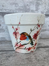 Load image into Gallery viewer, Robin in tree plant pot