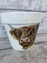 Load image into Gallery viewer, Highland Cow Indoor/Outdoor Ceramic Plant Pot
