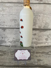 Load image into Gallery viewer, Ladybird Light Up Bottle