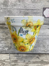 Load image into Gallery viewer, Daffodil plant pot