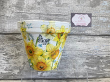 Load image into Gallery viewer, Daffodil plant pot