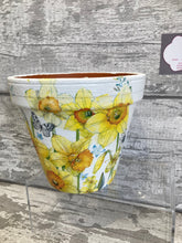 Load image into Gallery viewer, Daffodil plant pot