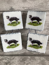 Load image into Gallery viewer, Collie coasters x 4