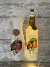Load image into Gallery viewer, Robin in hat vase and light up bottle set