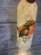 Load image into Gallery viewer, Robin Light Up Bottle
