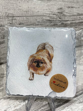 Load image into Gallery viewer, Shitzu dog wax burner gift set