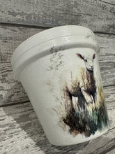 Load image into Gallery viewer, Lamb plant pot