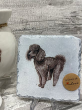 Load image into Gallery viewer, Poodle wax burner gift set