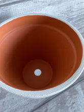 Load image into Gallery viewer, Hedgehog plant pot