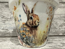 Load image into Gallery viewer, Hare plant pot