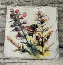 Load image into Gallery viewer, Bee slate coasters