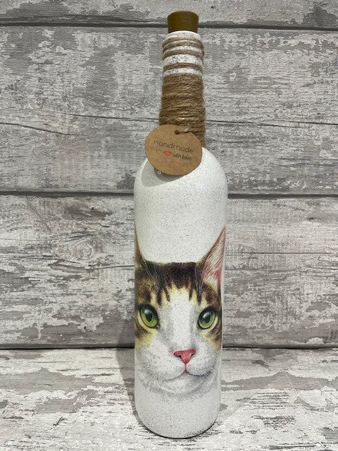 Cat light up bottle