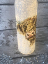 Load image into Gallery viewer, Highland Cow Light Up Bottle
