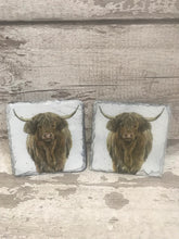 Load image into Gallery viewer, Highland Cow Coasters x 2
