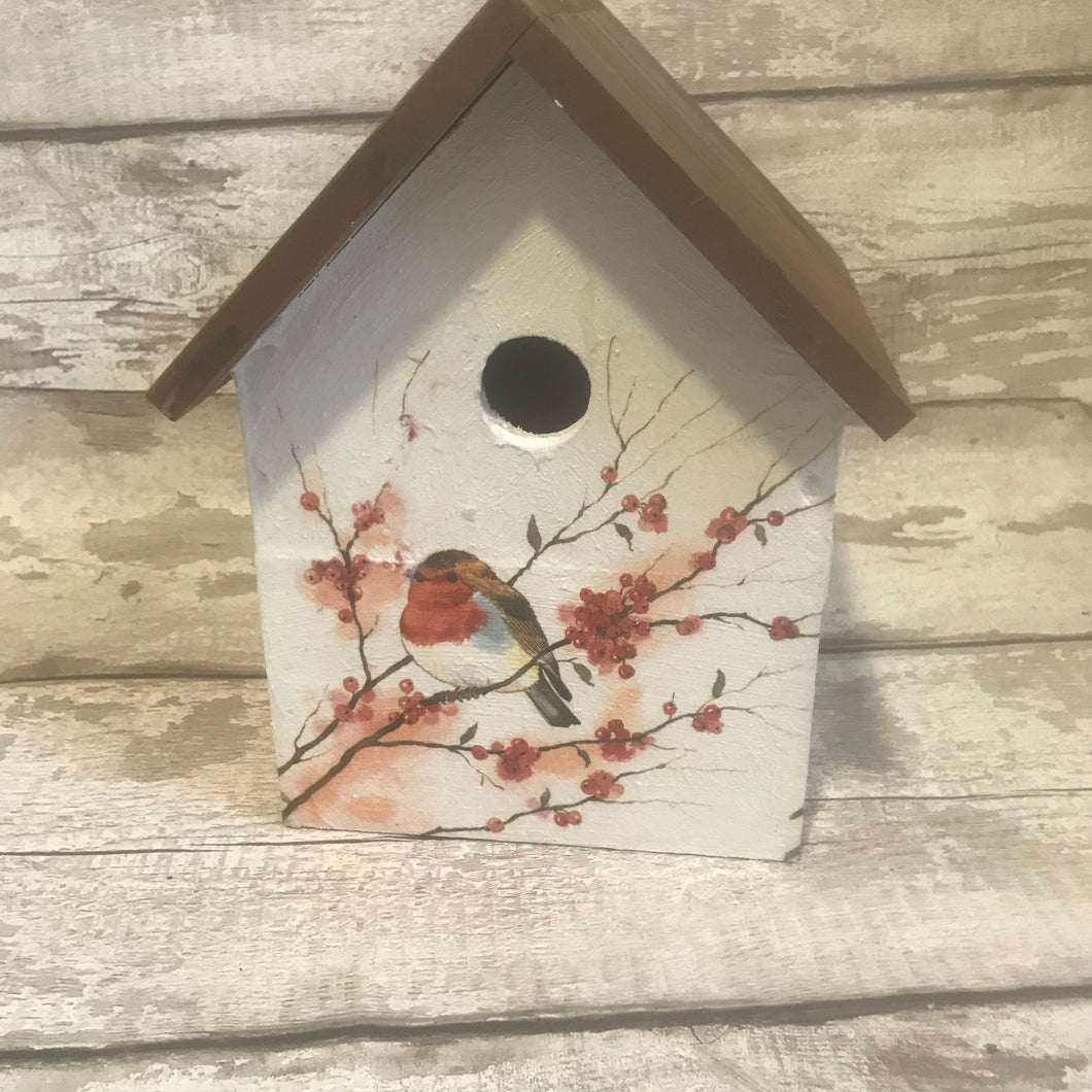 Robin bird box