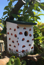 Load image into Gallery viewer, Ladybird bird box
