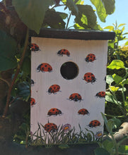 Load image into Gallery viewer, Ladybird bird box
