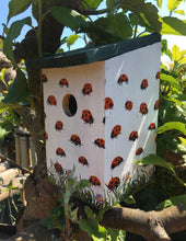 Load image into Gallery viewer, Ladybird bird box

