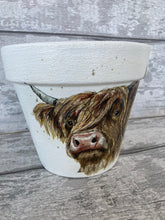 Load image into Gallery viewer, Highland Cow Indoor/Outdoor Ceramic Plant Pot

