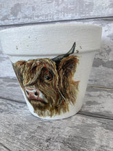 Load image into Gallery viewer, Highland Cow Indoor/Outdoor Ceramic Plant Pot

