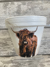 Load image into Gallery viewer, Highland Cow Plant Pot
