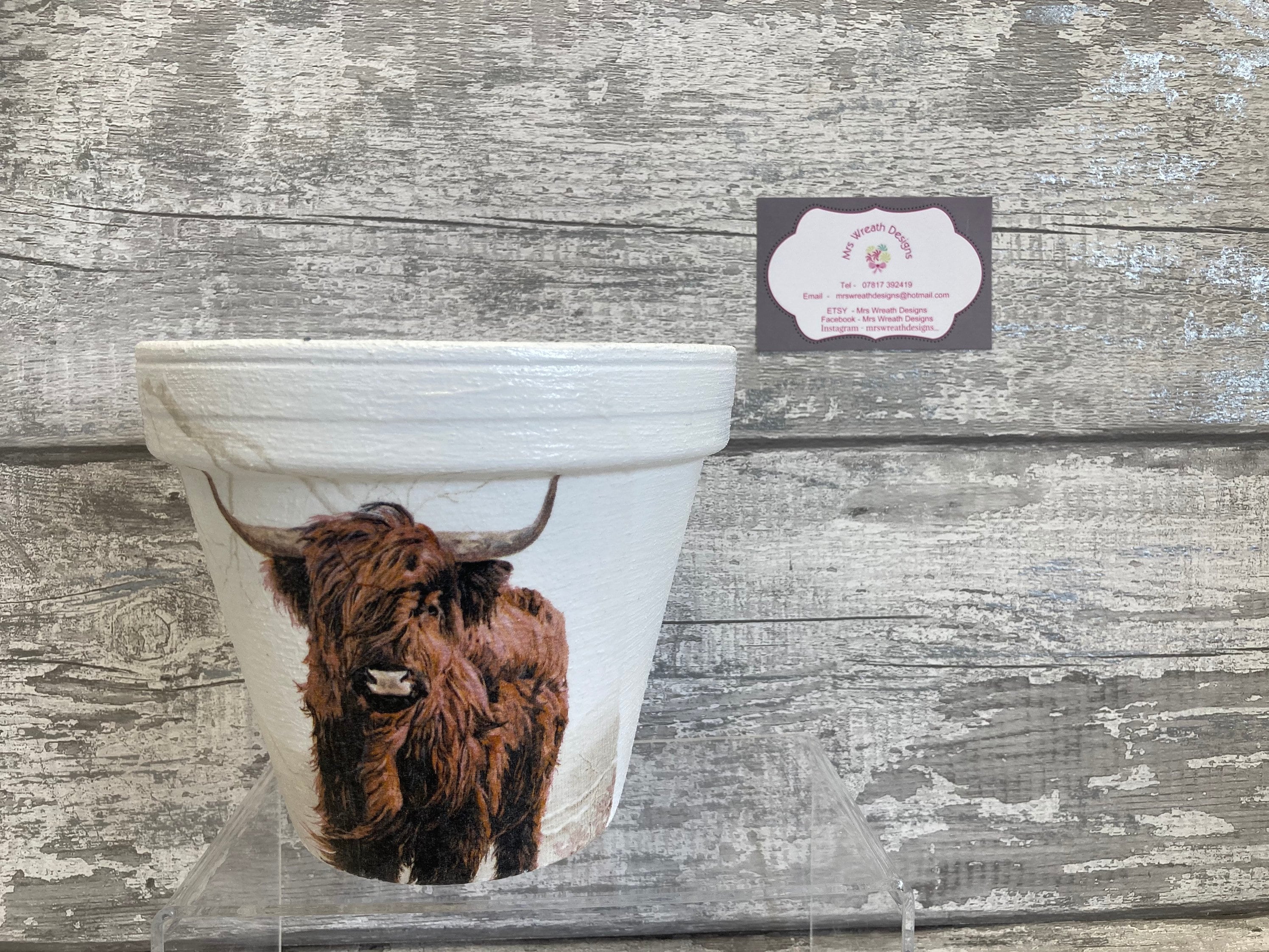 Highland Cow Plant Pot – Mrs Wreath Designs Uk