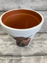 Load image into Gallery viewer, Highland Cow Plant Pot
