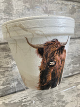 Load image into Gallery viewer, Highland Cow Plant Pot
