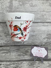 Load image into Gallery viewer, Father Day Plant Pot - Robin Dad
