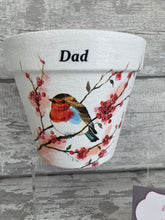 Load image into Gallery viewer, Father Day Plant Pot - Robin Dad
