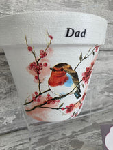 Load image into Gallery viewer, Father Day Plant Pot - Robin Dad
