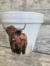 Load image into Gallery viewer, Highland Cow Plant Pot
