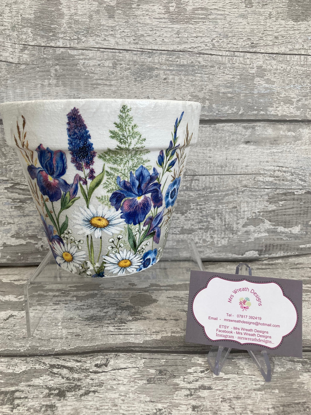 Iris plant pot