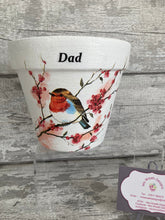 Load image into Gallery viewer, Father Day Plant Pot - Robin Dad
