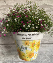 Load image into Gallery viewer, Teacher gift plant pot
