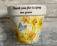 Load image into Gallery viewer, Teacher gift plant pot
