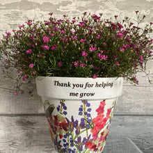 Load image into Gallery viewer, Teacher gift plant pot
