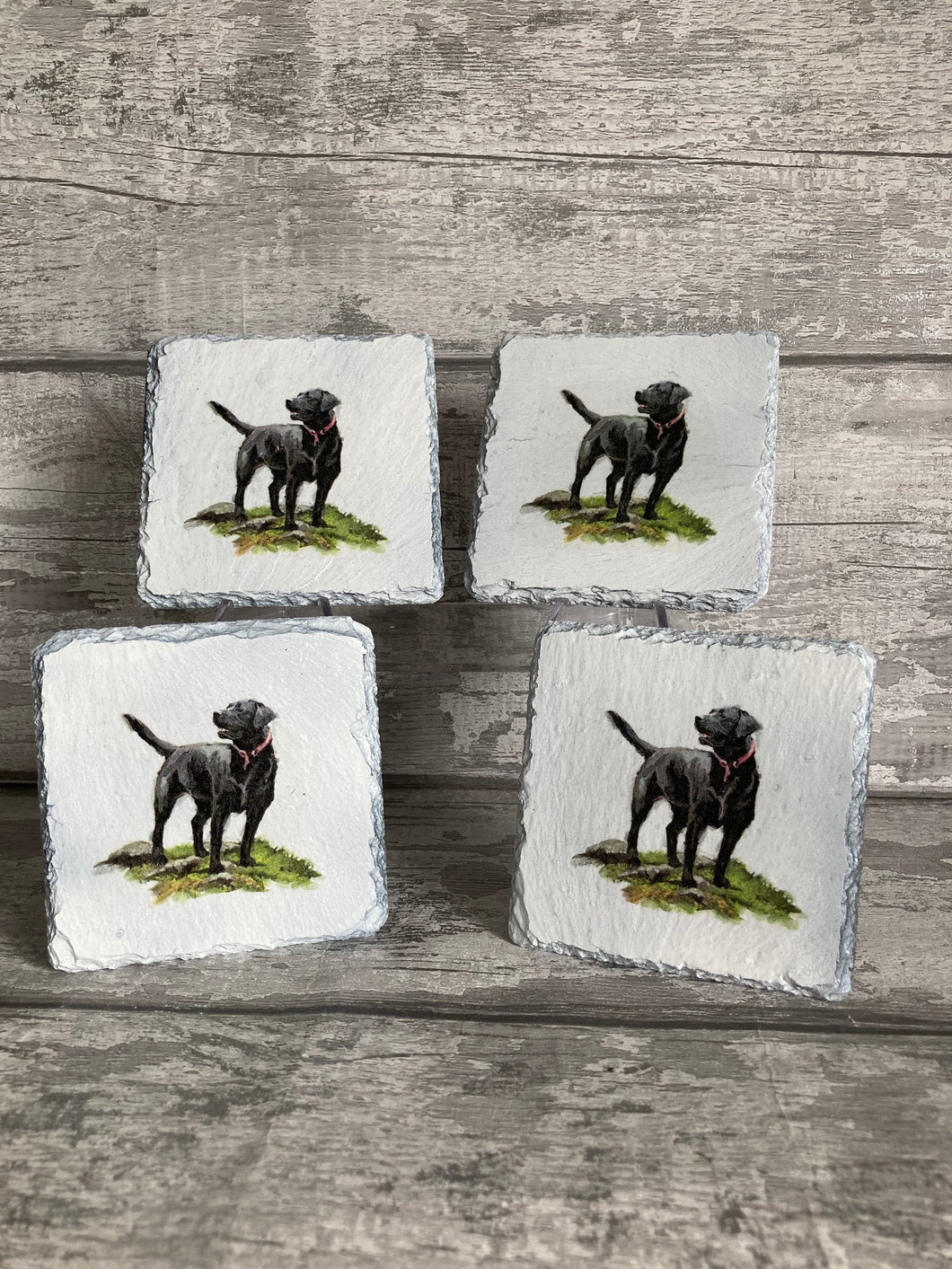 Labrador coasters  x 4.