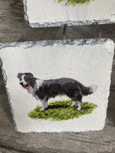 Load image into Gallery viewer, Collie coasters x 4
